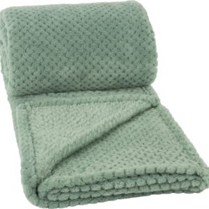 Clarysse Plaid – vert Plain Micro Flannel – 130 x 160 cm